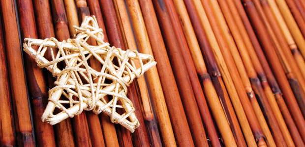 starfish design over bamboo branches