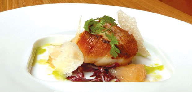 Seared Scallops with Pink Grapefruit and Radicchio