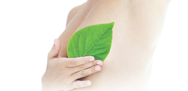 Breast Cancer and the Environment