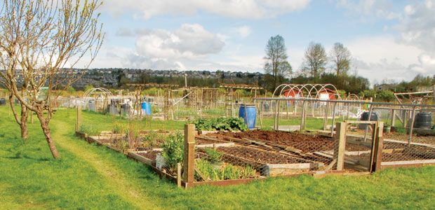 Tilling Togetherness