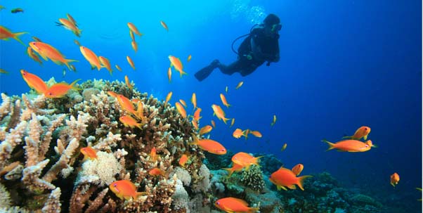 June 8 is World Oceans Day