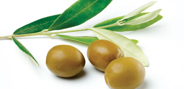 Celebrating National Nutrition Month