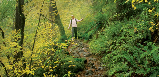 Green Valentine’s Day