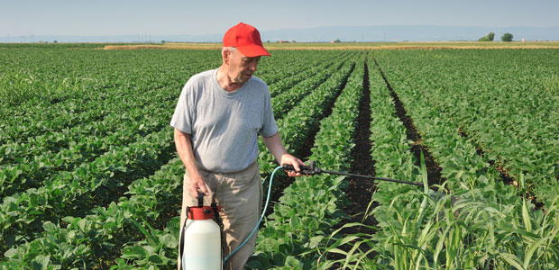 10 Fast Facts About Biodiversity