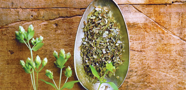 Caught a Cold or the Flu?