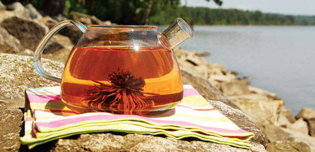 Tea-ming with Nutrients