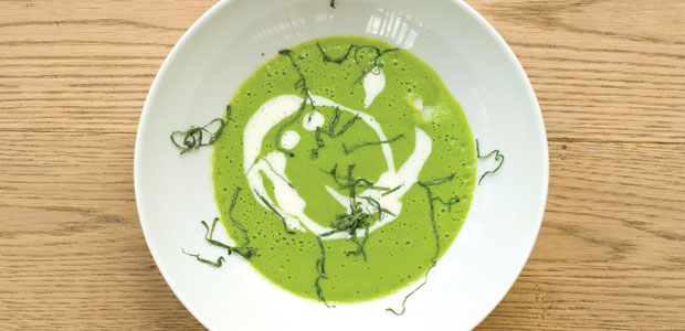 Sorrel Soup