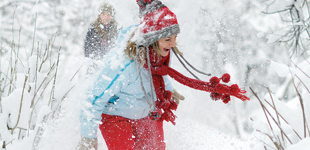 12 Months of Wellness