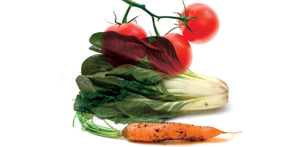 High Performance Eating