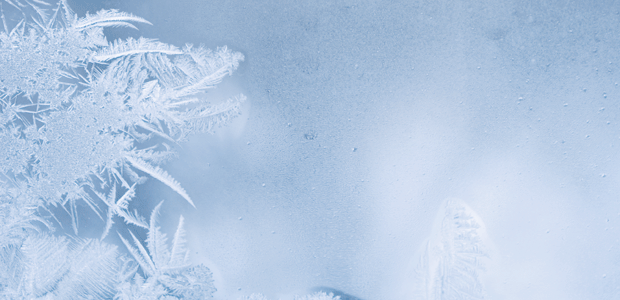 Cold Season Got You Down?