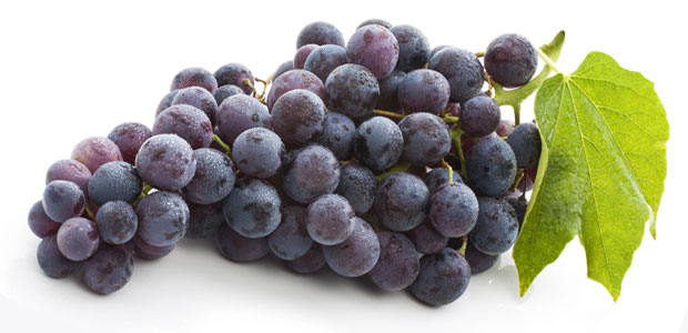 Reach for Resveratrol