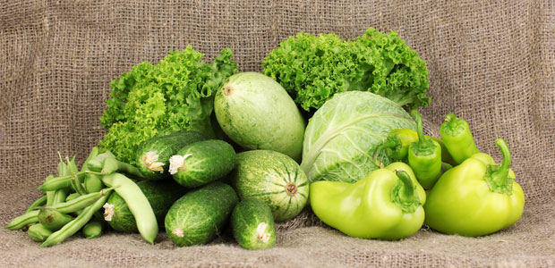 A Round of Applause for Vegan Society Founder Donald Watson on World Vegan Day