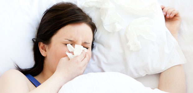 New Research Shines Spotlight on Echinacea for the Flu