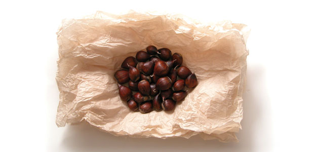 Food Storage Solutions