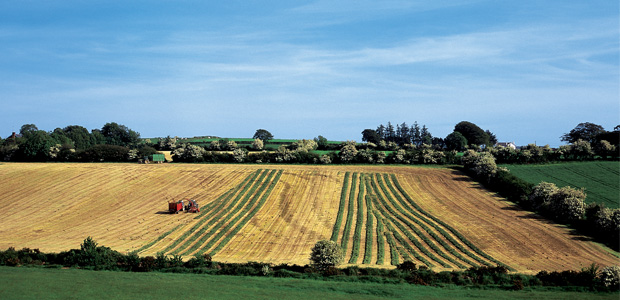 Cook Islands Leads the Way!