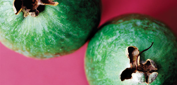 Are You a Bellyacher?