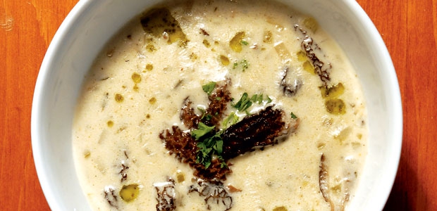 Creamy Morel Soup
