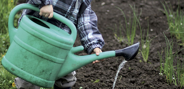 Sharing Backyard Gardens