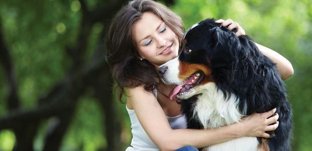 For the Love of…Pets