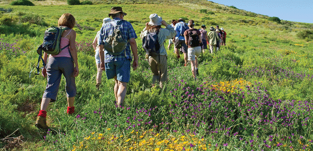 Good-conscience vacations