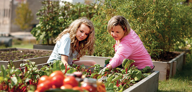 What’s On Your Plate?