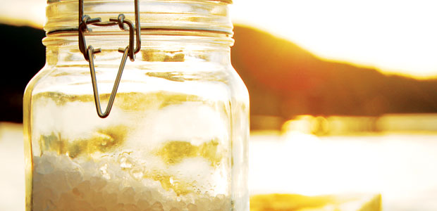 Salts of Earth and Sea