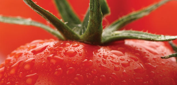 6 Crucial Carotenoids