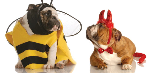 A Carefree, Scare-Free Halloween