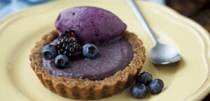 Berry Tart with Blueberry-Banana Ice Cream