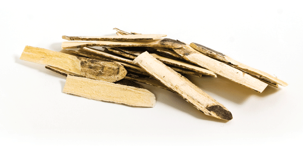 3 Top Immunity Boosters