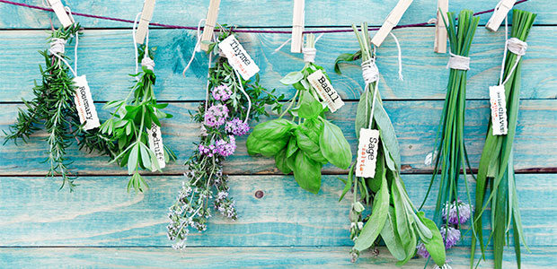 Meatless Monday: 5 Summer Herbs