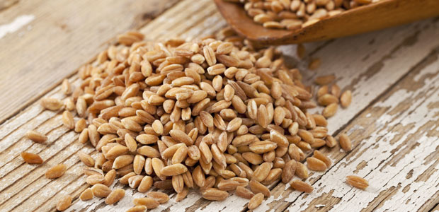 Meatless Monday: Farro Salad