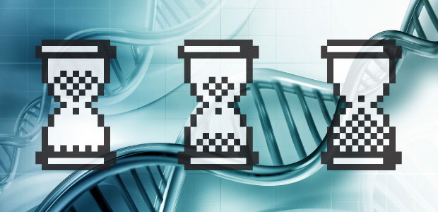 Telomeres and the Aging Process