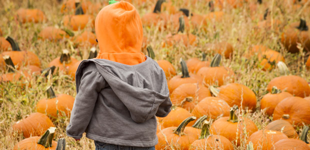 4 Unique Ways to Cook with Pumpkin