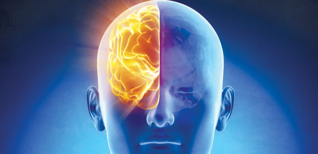 Boost the Brain’s Power