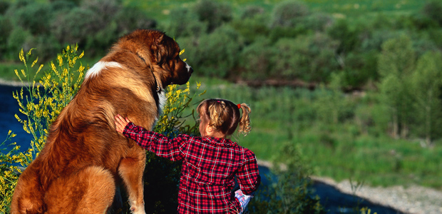 Essential Fat Facts for Your Pet