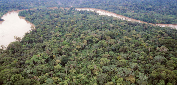 Seeds of Omega-3 for Vegans