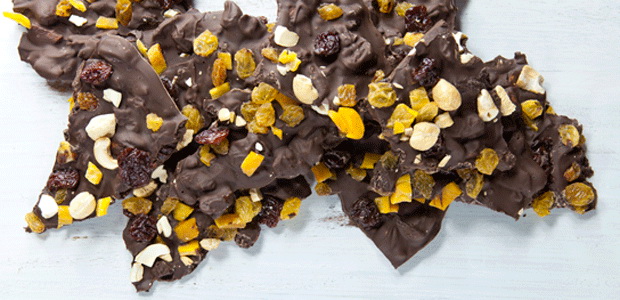 Chocolate Fruit Bark