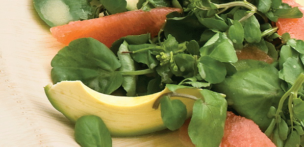 Avocado and Grapefruit Salad