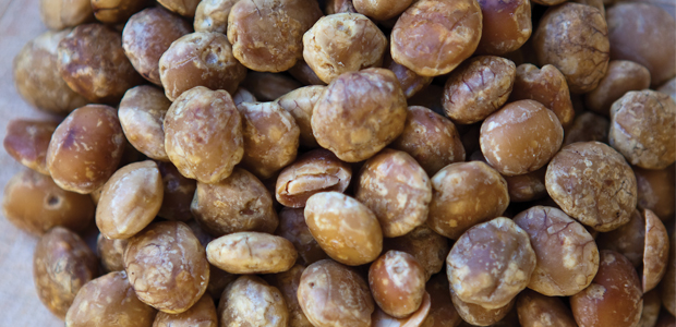 Superfood Spotlight: Sacha Inchi Seeds