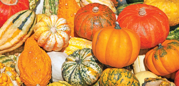 Organic Week: October 15-22