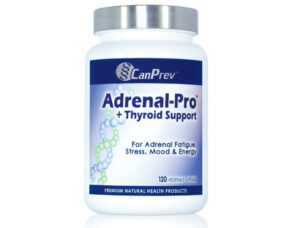 Swiss Solutions Bone