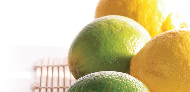 Bravo for Bioflavonoids!