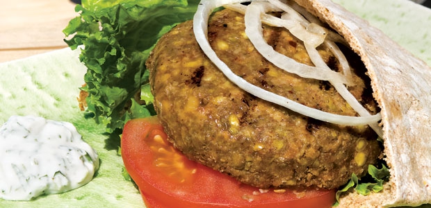 Nutty Lentil Burgers with Mint Yogourt Dressing