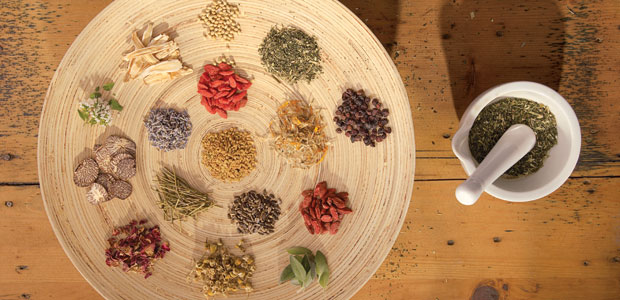 Navigating the Supplement Maze