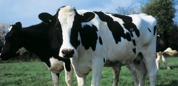 US Approves Meat Irradiation