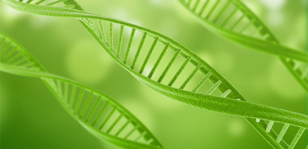 The Science Behind Telomeres