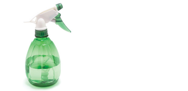 Detox Your Living Room