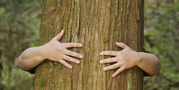 10 Eco-Friendly Lifestyle Changes for World Environment Day