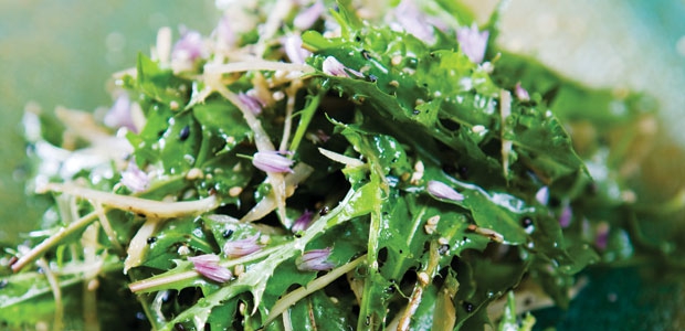 Salad of Wild Burdock Root with Hemp Oil Vinaigrette